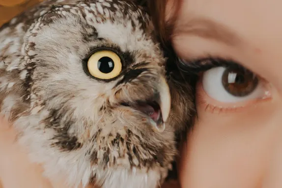 Casino Loco Win Tacaíocht